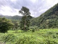 Jeep Safari auf Tahiti