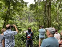Jeep Safari auf Tahiti