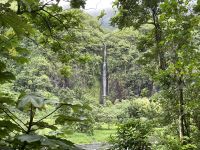 Jeep Safari auf Tahiti