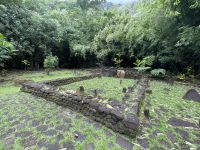Jeep Safari auf Tahiti