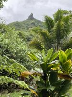 Jeep Safari auf Tahiti