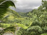 Jeep Safari auf Tahiti
