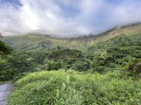 Jeep Safari auf Tahiti