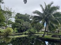 Stadtspaziergang in Papeete - Parlament 