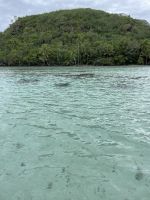 weiter geht unsere Bootstour in der Lagune von Huahine