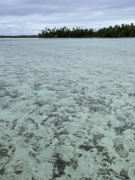 weiter geht unsere Bootstour in der Lagune von Huahine