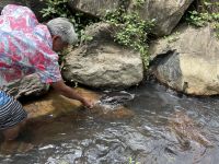 Aale füttern auf Huahine