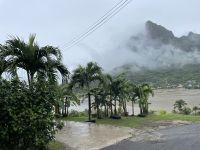 Bora Bora - Inselrundfahrt mit den Jeeps