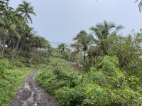 Bora Bora - Inselrundfahrt mit den Jeeps