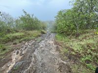 Bora Bora - Inselrundfahrt mit den Jeeps