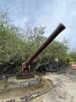 Bora Bora - Kanonenüberreste aus dem 2. Weltkrieg