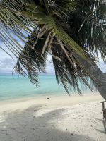 Bora Bora - Badeausflug - Matira Beach