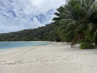 Bora Bora - Badeausflug - Matira Beach