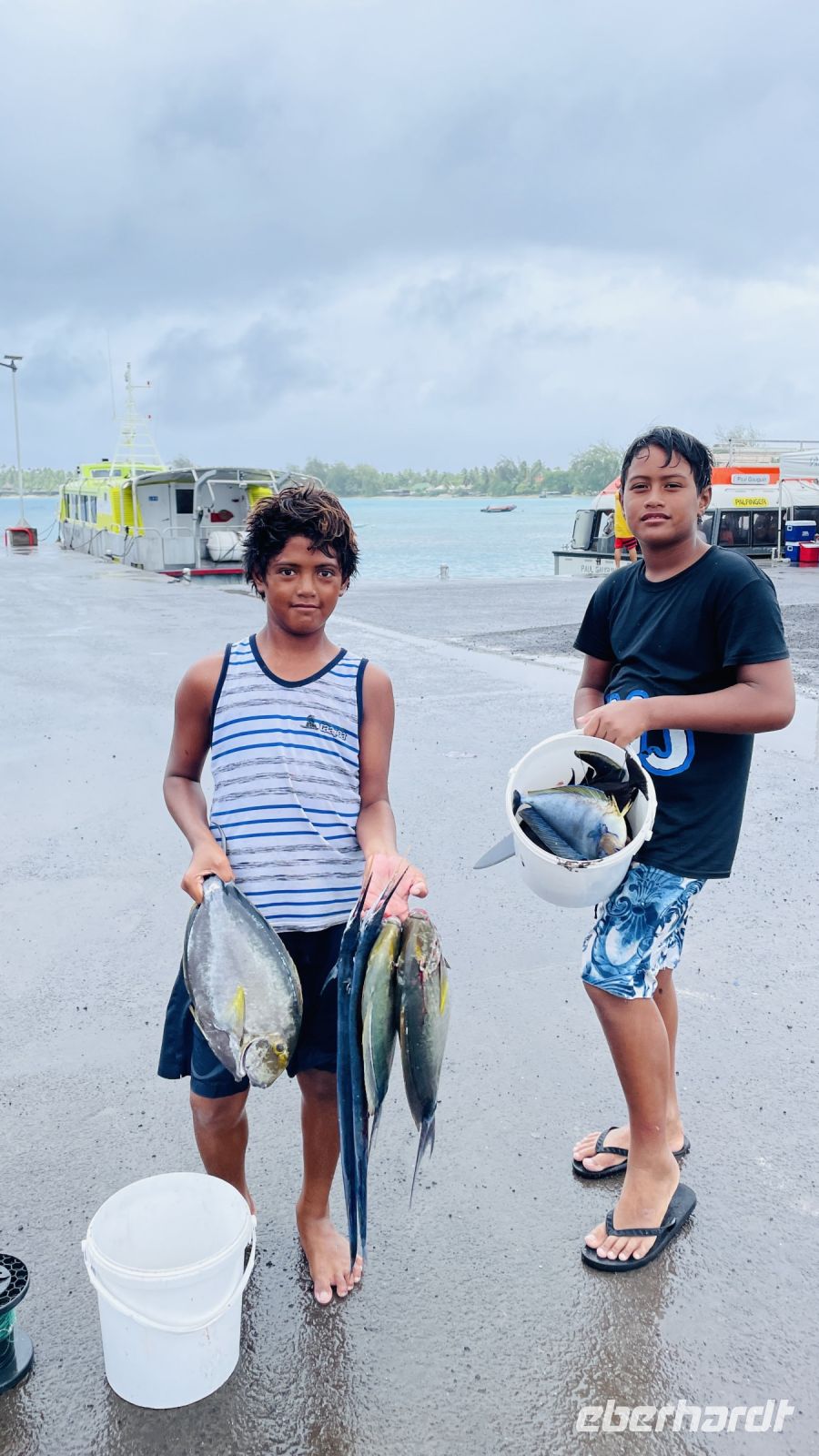 Fische gucken im Hafen von Rangiroa