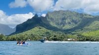Die Lagune von Moorea