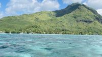 Die Lagune von Moorea - Schnorchelstopp