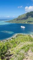 Inselrundfahrt mit den Jeeps auf Moorea - Aussichtspunkt Magic Mountain 