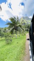 Inselrundfahrt mit den Jeeps auf Moorea 