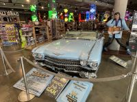 Stadtrundfahrt in Los Angeles - Hollywood - Walk of Fame