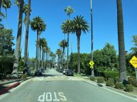 Stadtrundfahrt in Los Angeles - Fahrt durch Beverly Hills