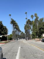 Stadtrundfahrt in Los Angeles - Jacob Spangenberg in Beverly Hills
