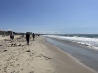 Stadtrundfahrt in Los Angeles - Santa Monica Beach
