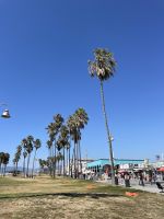 Stadtrundfahrt in Los Angeles - Venice Beach