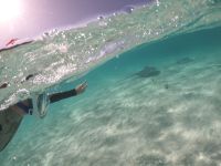 Die Lagune von Moorea - Schnorchelstopp