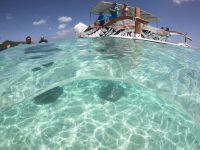 Lagunentour Bora Bora - Schnorcheln mit den Rochen & Haien