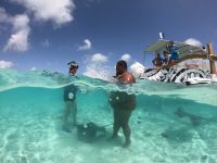 Lagunentour Bora Bora - Schnorcheln mit den Rochen & Haien