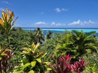 Inselrundfahrt Huahine