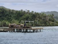 Ausflug in die Lagune von Raiatea und Taha´a - Perlenfarm