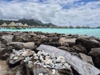 Bora Bora - Makita Beach