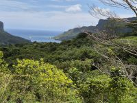 Inselrundfahrt Moorea - Aussichtspunkt Belvedere
