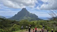 Inselrundfahrt Moorea - Aussichtspunkt Belvedere
