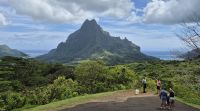Inselrundfahrt Moorea - Aussichtspunkt Belvedere