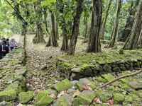Inselrundfahrt Moorea - Kultstätte (Marae)