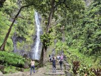 Inselrundfahrt Tahiti - Wasserfall im Faarumai-Tal