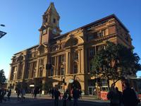 0311 Auckland Impressionen