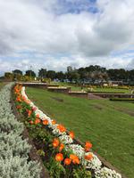 0329 Joseph Savage Memorial