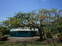 234 traditionelles Haus 2