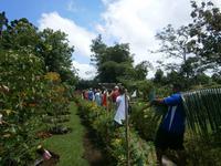 239 auf zur Kokosnussschow