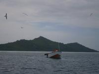 0425 wo viele Voegel sind, da gibt es auch viel Fische