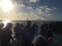 0419 Korallen-Garten