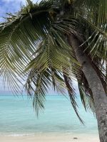 Bora Bora - Badeausflug - Matira Beach