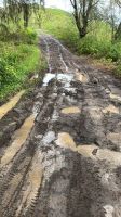 Bora Bora - Inselrundfahrt mit den Jeeps
