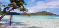 Bora Bora - Lagunentour - Motu Tapu