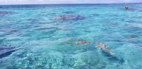 Bora Bora - Lagunentour