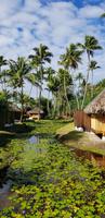 Bora Bora Pearl Beach Resort