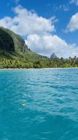 Die Lagune von Moorea - Schnorchelausflug